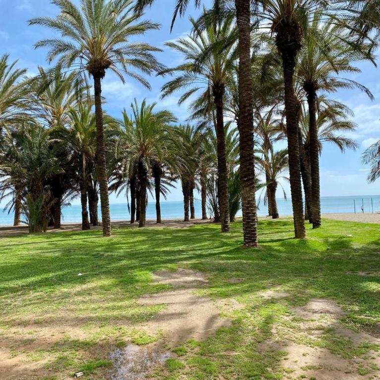 Apartamento El Mar Azul 5 - Apartamento de 1 dormitorio - Frente al océano - 11