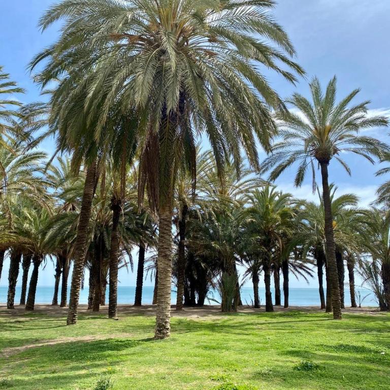 Apartamento El Mar Azul 5 - Apartamento de 1 dormitorio - Frente al océano - 18