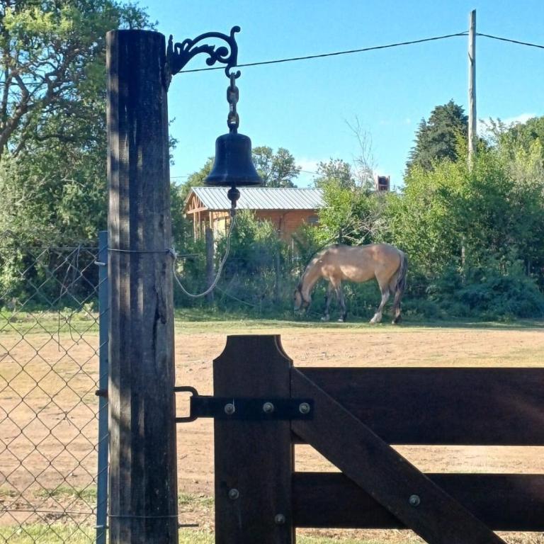 bOSCHINI - Cabaña En Sierras De Córdoba - Pileta Y Naturaleza - Chalet de 2 dormitorios - 46