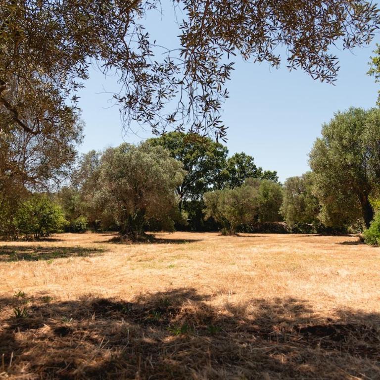 Il Cardo Bianco - Trulli a Ceglie Messapica - Haus mit 3 Schlafzimmern - 43