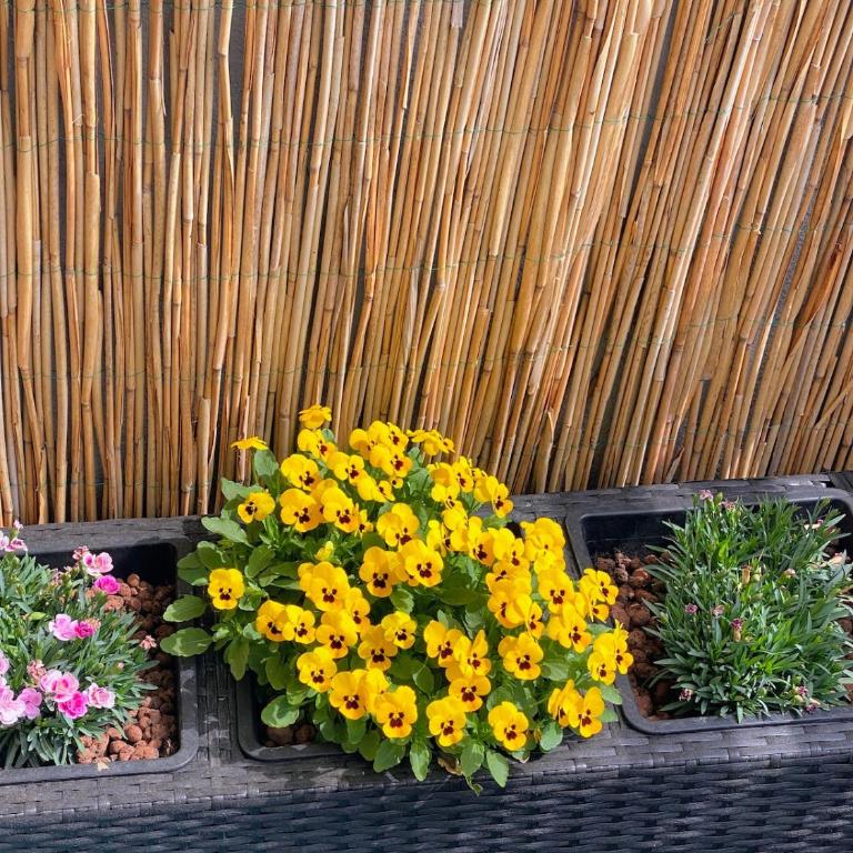Geräumiges City-Apartment Klagenfurt - Apartment mit 2 Schlafzimmern - 14