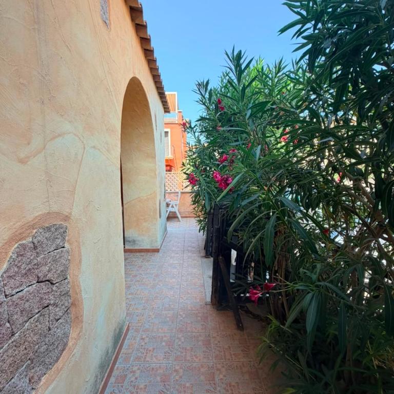 La Terrazza sul Golfo - Appartamento Standard - 7