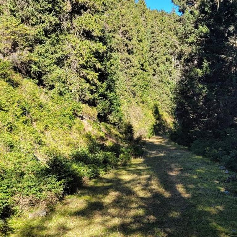 T2 rénové cosy 6 personnes, skis aux pieds, balcon - Appartement 2 Chambres - 19