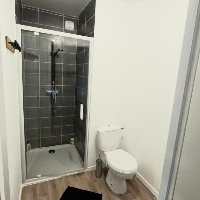 Studio moderne et cosy, hypercentre du Mans - Apartment - 6
