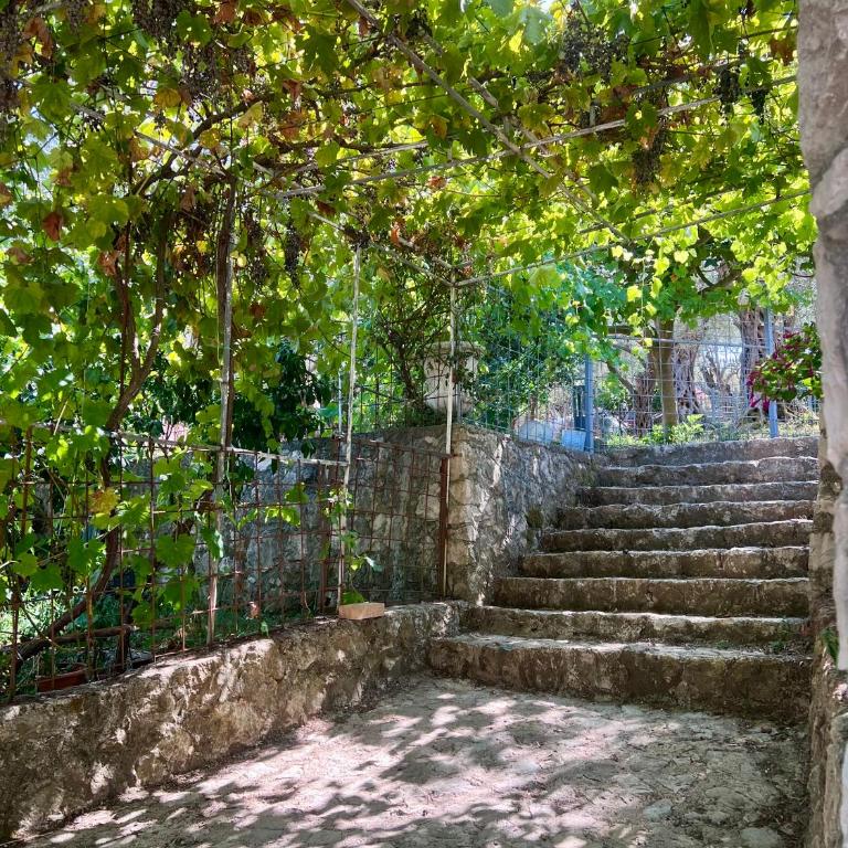 Olive Escape - Villa mit 1 Schlafzimmer - 5