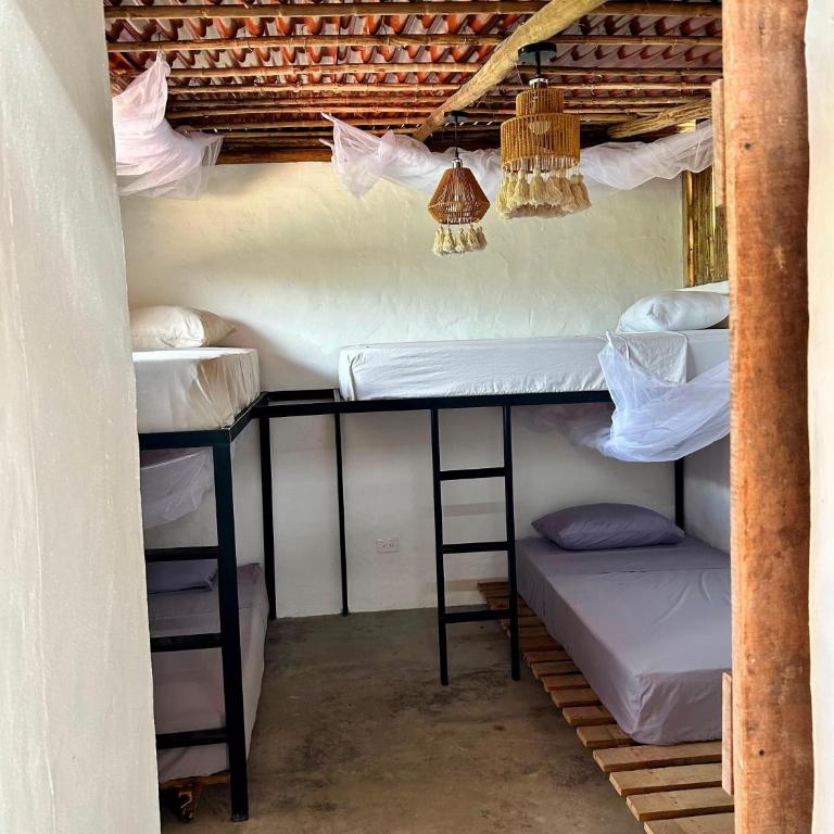 Hostal Juan Palitos - Habitación Compartida Mixta - 4