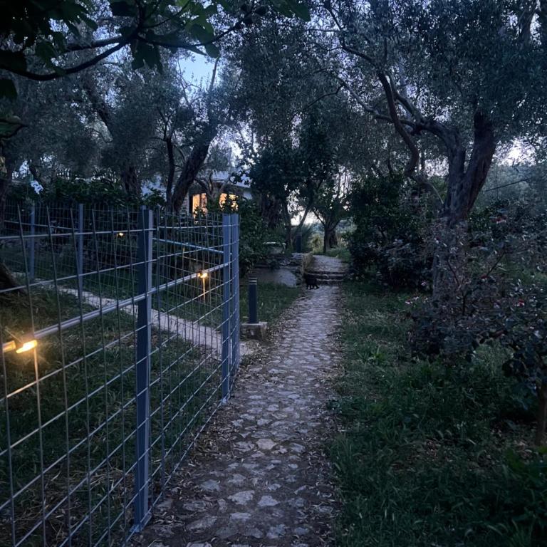 Olive Escape - Villa mit 1 Schlafzimmer - 40
