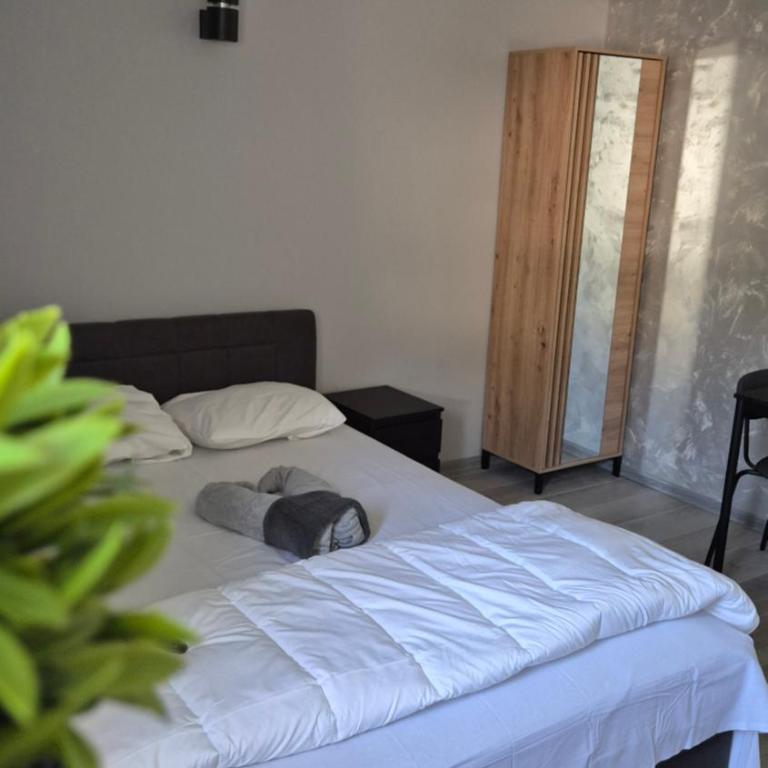 Apartman Popović - Deluks Dvokrevetna Soba sa Bračnim Krevetom - 3