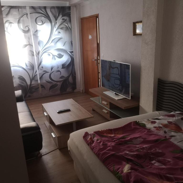 Garsonijera Room Zimmer - Appartement 1 Chambre - 3