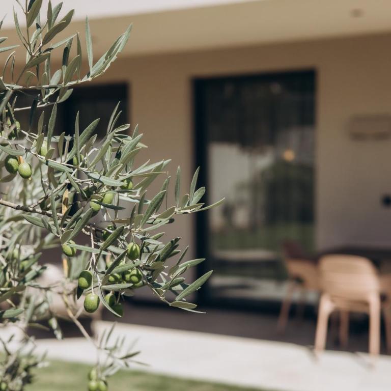 Terra Mea - NEW - One-Bedroom Apartment with Garden - 4
