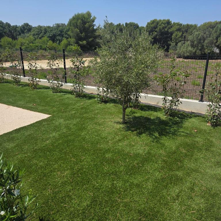 Appartement calme au Brusc - Appartamento con 2 Camere da Letto - 12