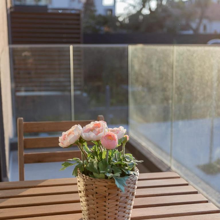 Explore Providencia from Our Sleek 2BR - Apartamento - 22