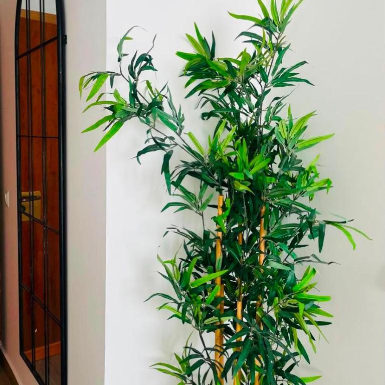 Atico con terraza en la Puerta del Sol - Apartment mit 2 Schlafzimmern - 5