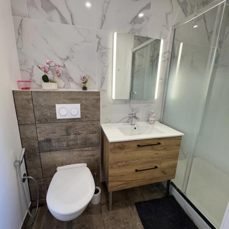 Chambre dans un appartement - Chambre Double avec Salle de Bains Privative - 2