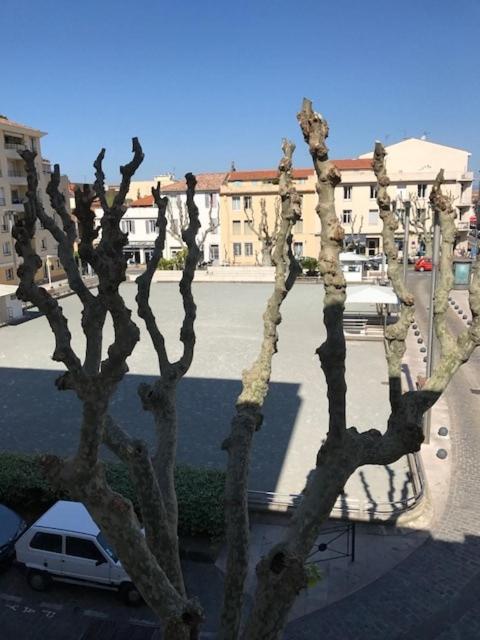 ST RAPHAEL 50m2 centre ville - Appartement 1 Chambre - 4