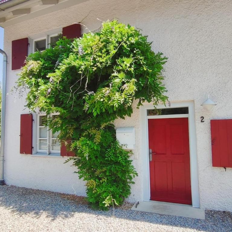 Ferienwohnung "Stüble" - Apartment mit 2 Schlafzimmern - 9
