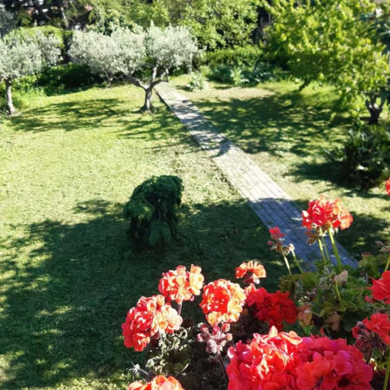 La Terrazza di Colle Marino - Ferienhaus - 2