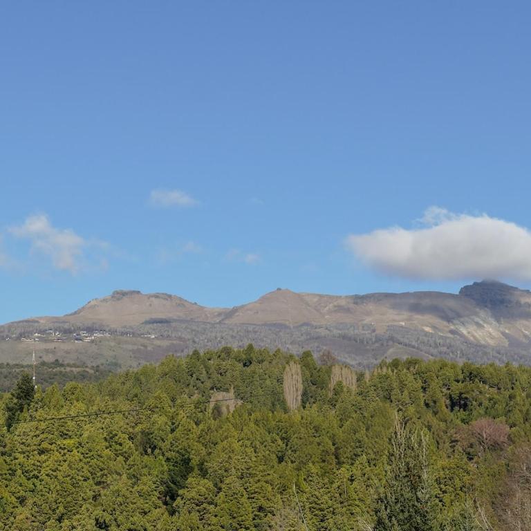 B2 Cabaña nueva increibles vistas 4-6 pax - Chalet de 2 dormitorios - 21
