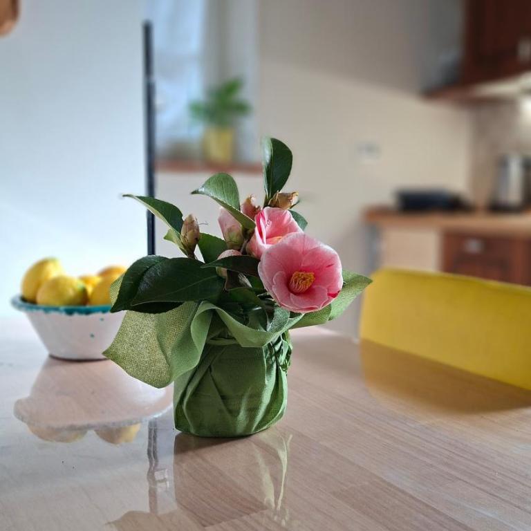 Casina di Elena Pool and Relaxation in Tuscany - Casa con 2 Camere da Letto - 46