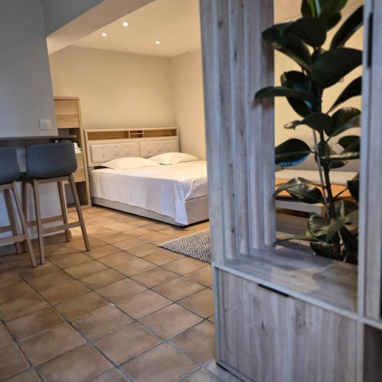 Joli studio independant - Appartement 1 Chambre - 8