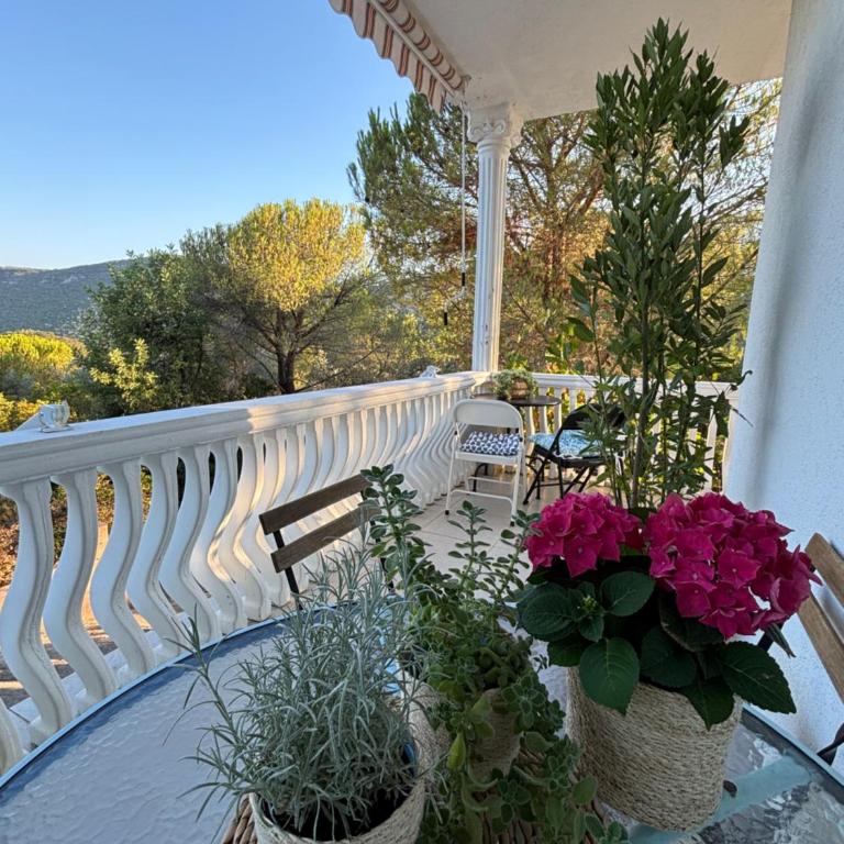 Mirišta - Spacious apartment in lush nature sea & forest - Apartman sa 2 Spavaće Sobe - 29