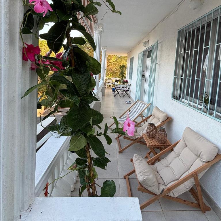 Mirišta - Spacious apartment in lush nature sea & forest - Apartman sa 2 Spavaće Sobe - 27