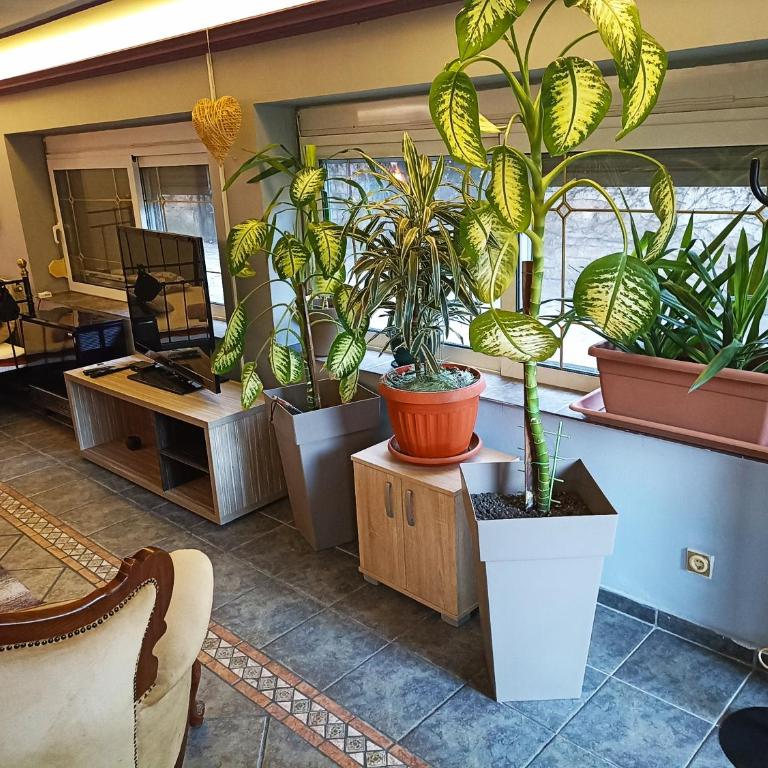 Paws & Pines Hideaway - Apartman sa 2 Spavaće Sobe - 10