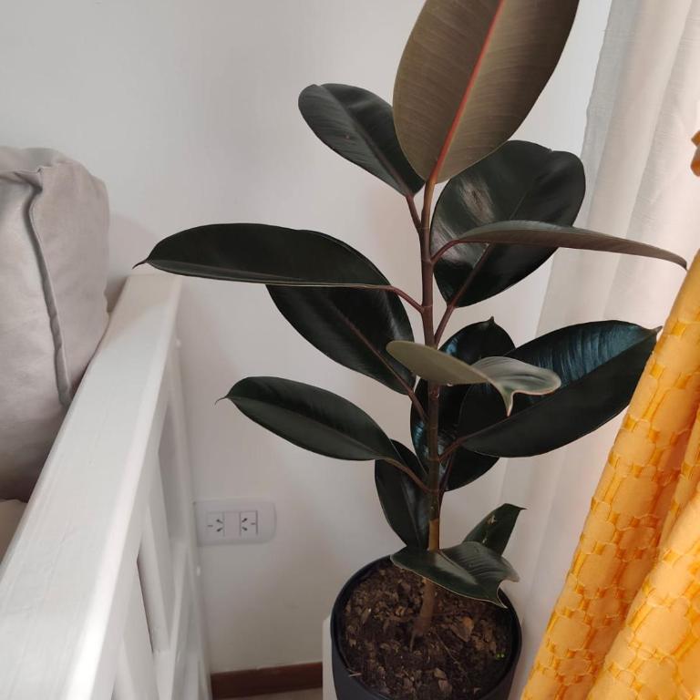 Punto Centro - Apartamento de 1 dormitorio - 16