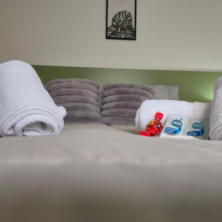 Punto Centro - Apartamento de 1 dormitorio - 22