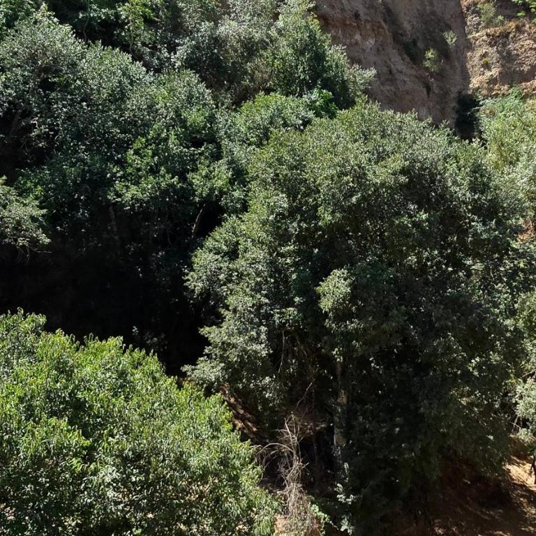 Apartamento en Carrera del Darro, Granada, Cubo - Apartamento de 2 dormitorios - 59
