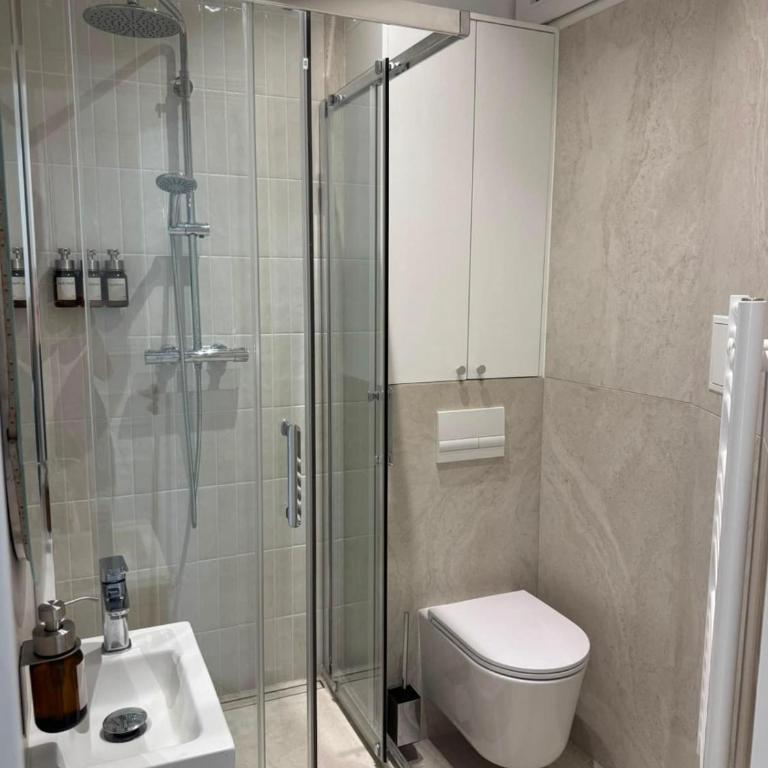 Studio room in the heart of Paris - Rue Montorgueil - Studio - 3