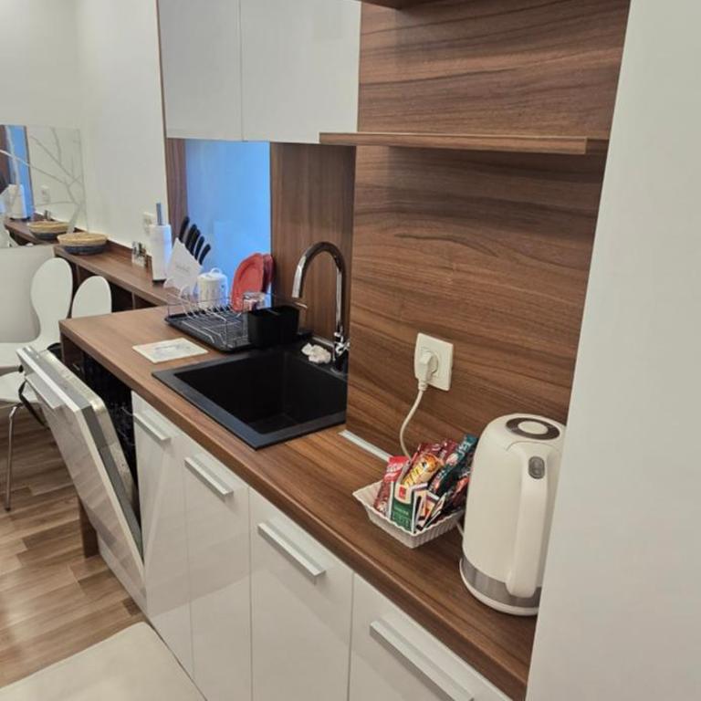 Lea Central Residence Sarajevo - Apartman sa 1 Spavaćom Sobom - 6