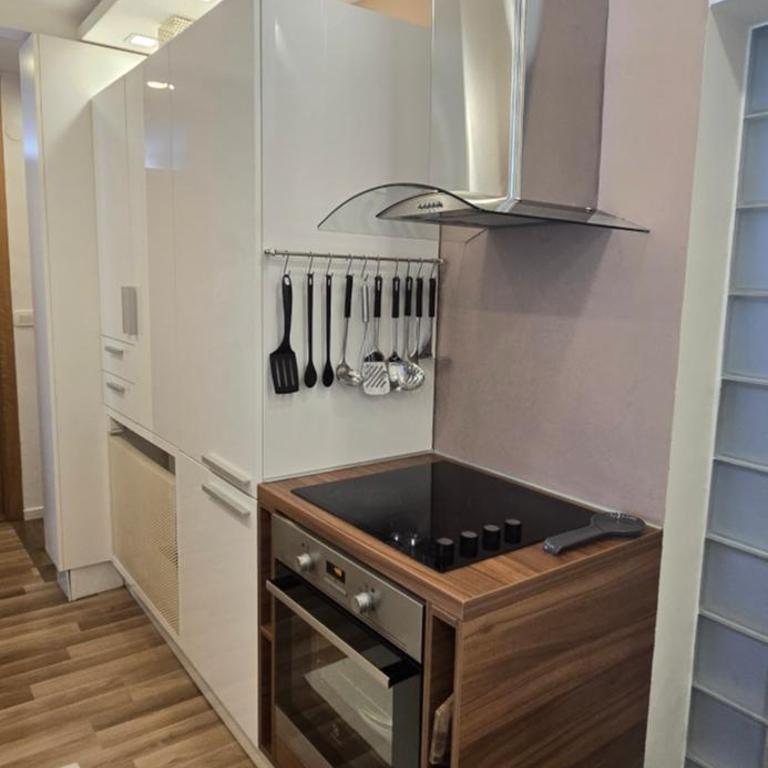 Lea Central Residence Sarajevo - Apartman sa 1 Spavaćom Sobom - 8