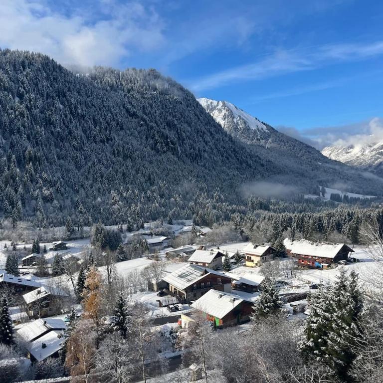 Apartment village center 3 rooms - Appartement 1 Chambre - 3
