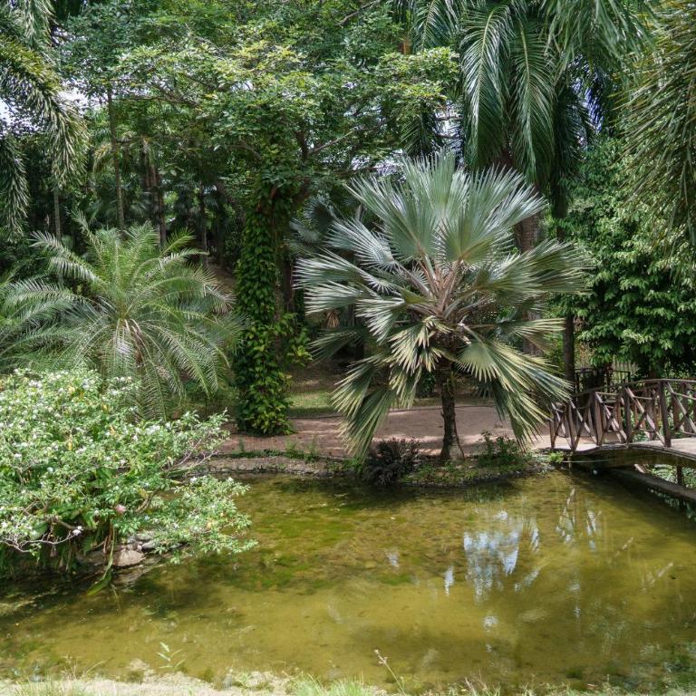 Casa Tayrona Victoria Regia - Villa - 4