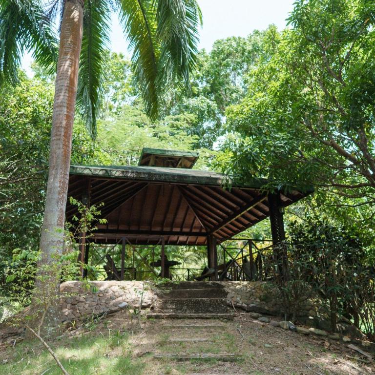 Casa Tayrona Victoria Regia - Villa - 16