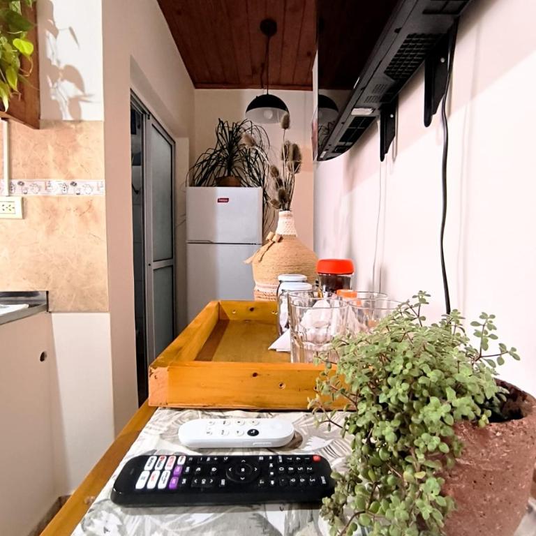 Refugio del Uruguay - Alquiler Temporario - Apartamento de 1 dormitorio con jardín - 15