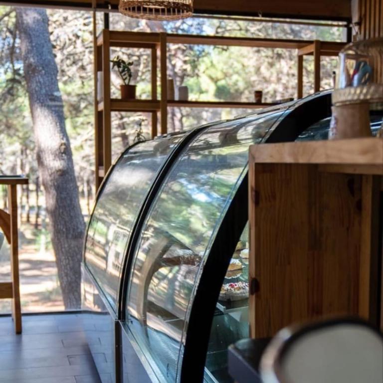 VILLAROBLES bosque y playa - Five-Bedroom House - 52