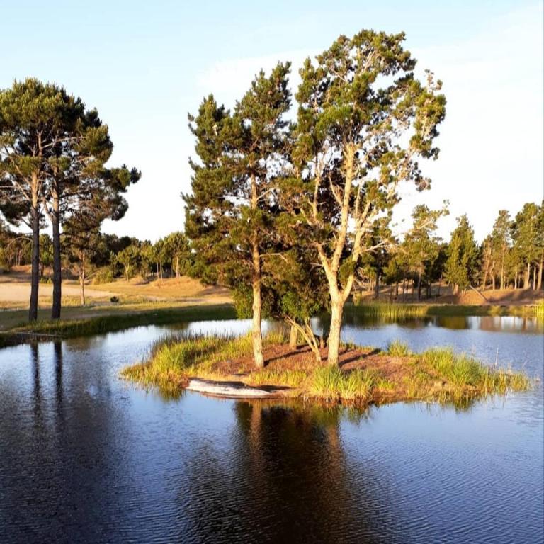 VILLAROBLES bosque y playa - Five-Bedroom House - 56