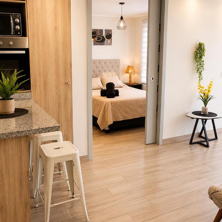 Sensacional Departamento Centro a pasos del Mall Excelente Ubicación - Apartamento de 1 dormitorio - 1