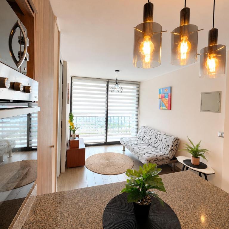 Sensacional Departamento Centro a pasos del Mall Excelente Ubicación - Apartamento de 1 dormitorio - 8