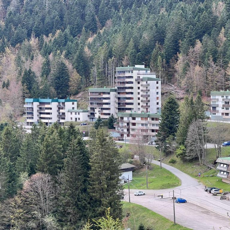 Le Balcon - La Bresse - Appartement 1 Chambre - 23
