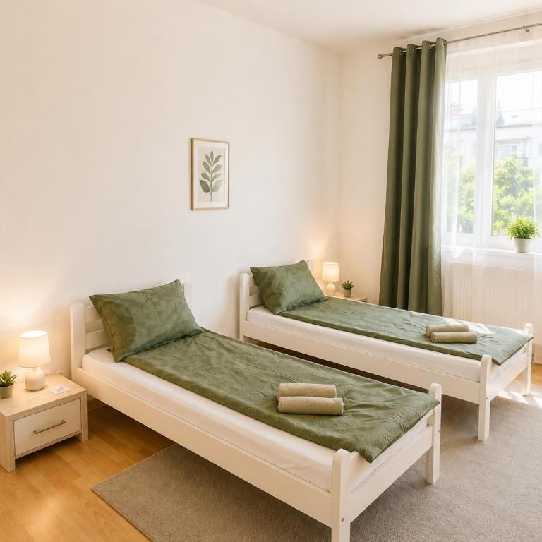 City Center Comfort Apartment - Two-Bedroom Apartment - 8