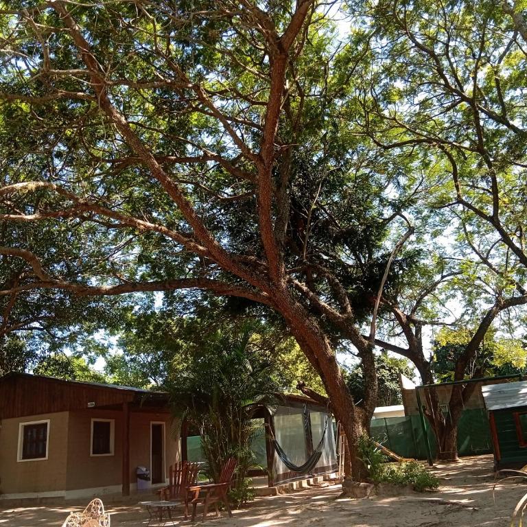 Cabaña La Churra - Apartamento de 1 dormitorio - 2