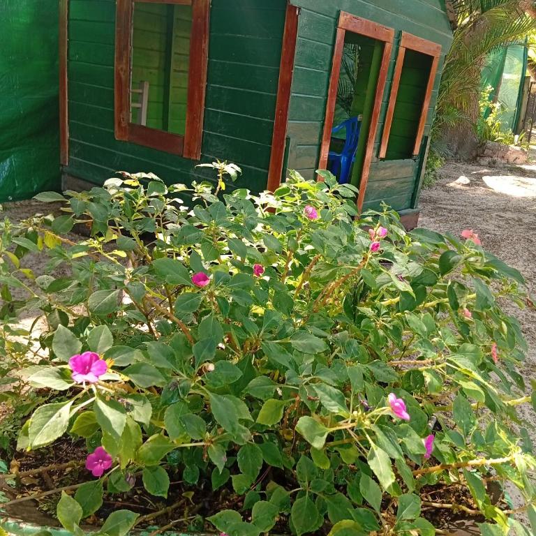 Cabaña La Churra - Apartamento de 1 dormitorio - 7