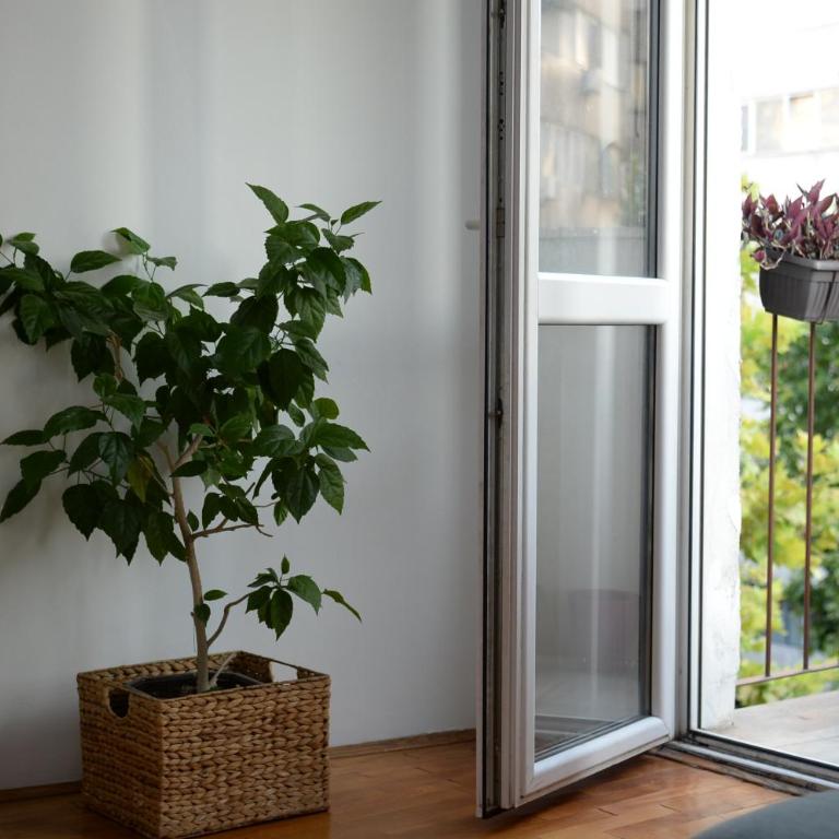 Urban M3 - Appartement 1 Chambre - 7