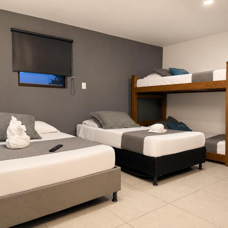 Hotel Laureles Palo Alto - Standard Family Room - 2