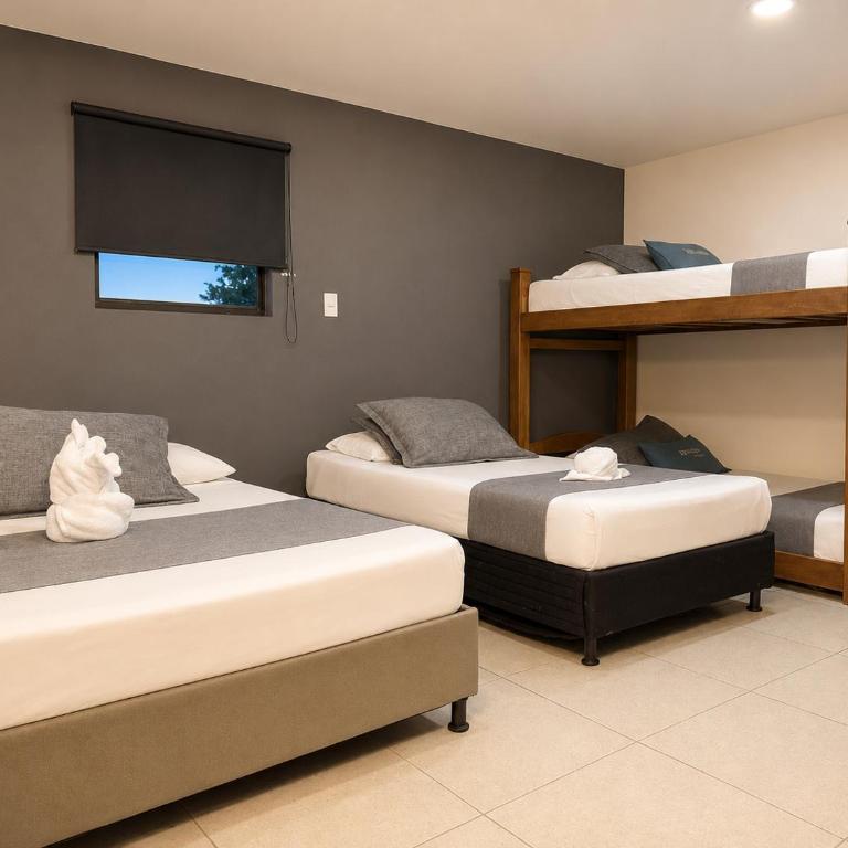 Hotel Laureles Palo Alto - Standard Family Room - 1
