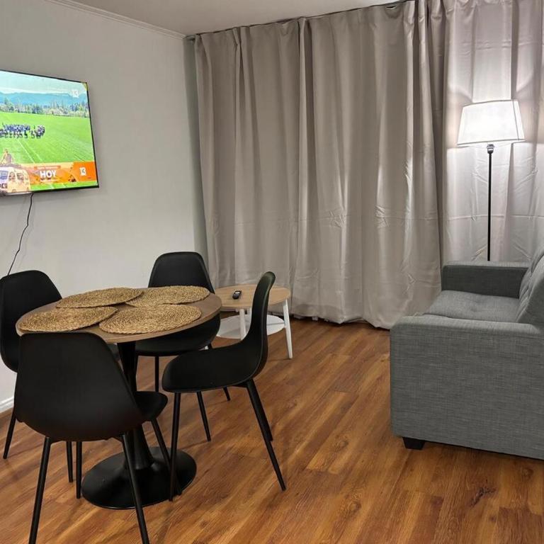 Depto céntrico 2D, cerca UdeC y Hospital Regional - Apartamento de 2 dormitorios - 2