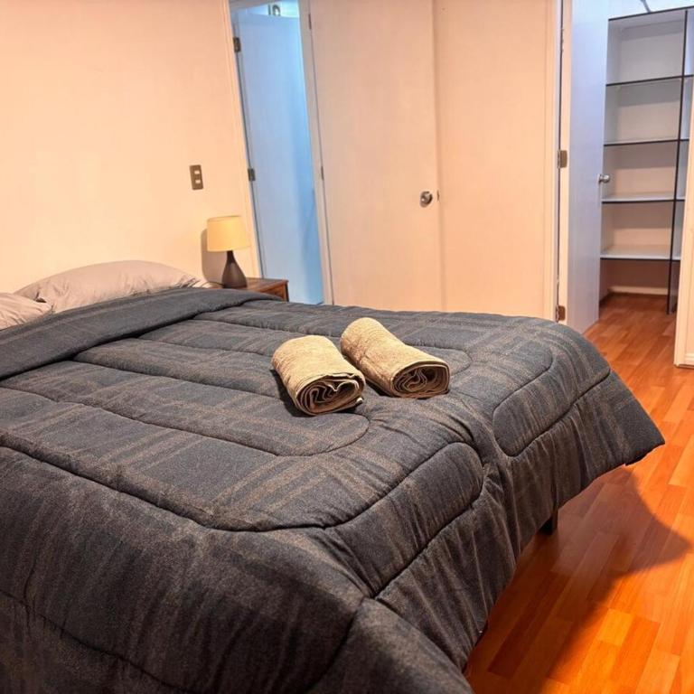 Depto céntrico 2D, cerca UdeC y Hospital Regional - Apartamento de 2 dormitorios - 1